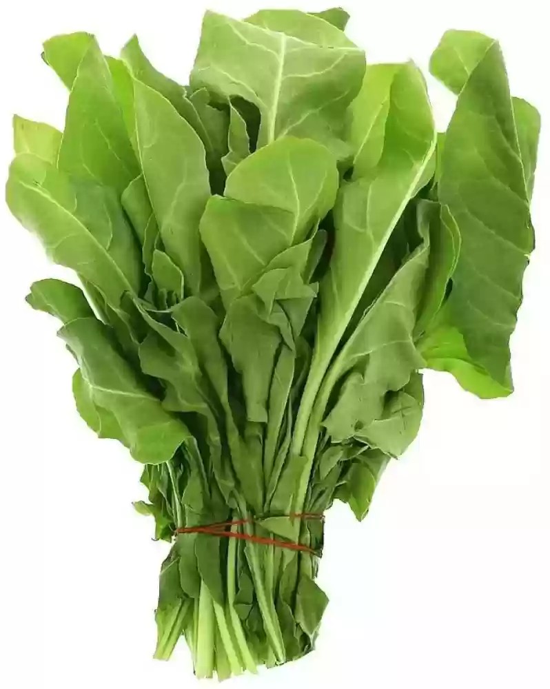SPINACH (Palak)