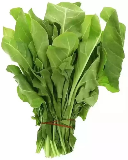 SPINACH (Palak)