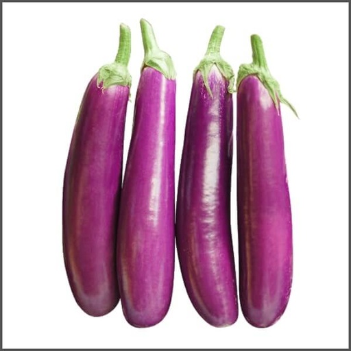 BRINJAL LONG VIOLET
