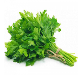 CORIANDER (Kothimeera)